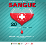 20x20_sangue