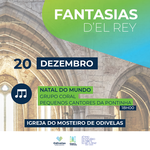 20x20_fantasias_dez_25