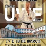 cartaz_seminario_de_kumite_sensei_uwe