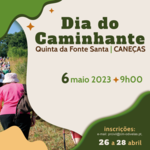 20x20caminhante