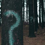 evan_dennis_i_in3cvejg_unsplash_web