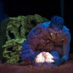 _tuna_meiavolta_qdeque_c_joao_tuna_5_web