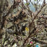 usar_esta_foto_geral_emsemble_theia_c_rita_maria_web