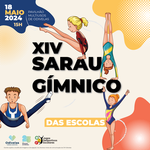 20x20_xiv_sarau_gimnico_final_01