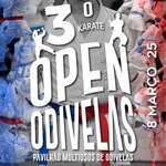 a_3open_karate_cartaz