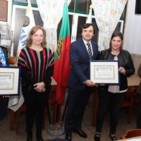 2z8a3376_1_1024_2500