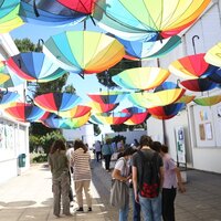 img_9591_1_1024_2500