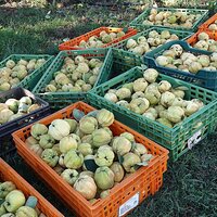 imageedit_8_6035348124