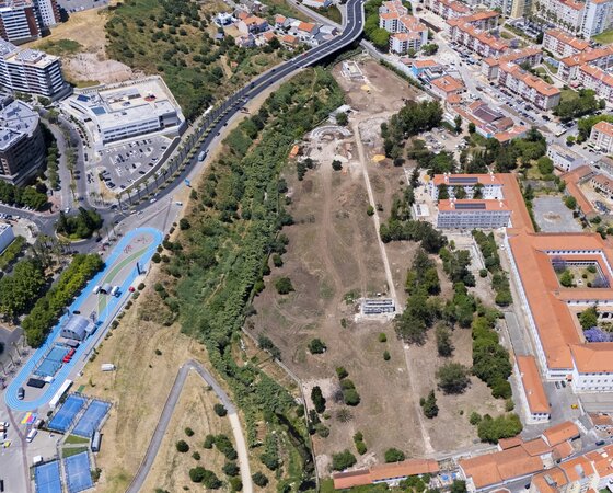 dji_20250606140749_0007_d