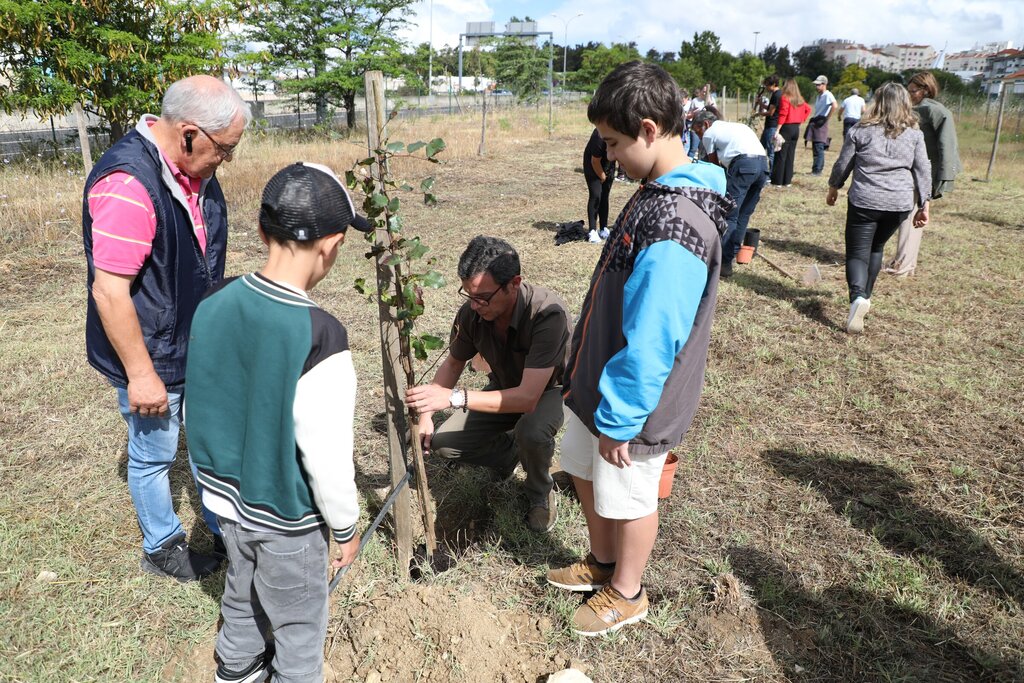 Crianças e jovens plantam árvores em Odivelas