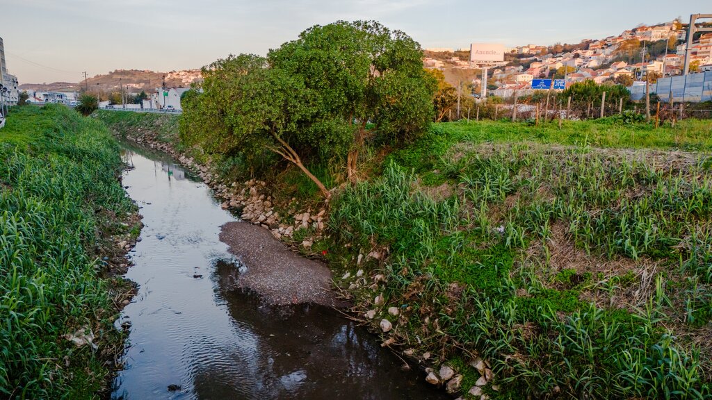 Concluídos trabalhos de limpeza da Ribeira da Póvoa de Santo Adrião