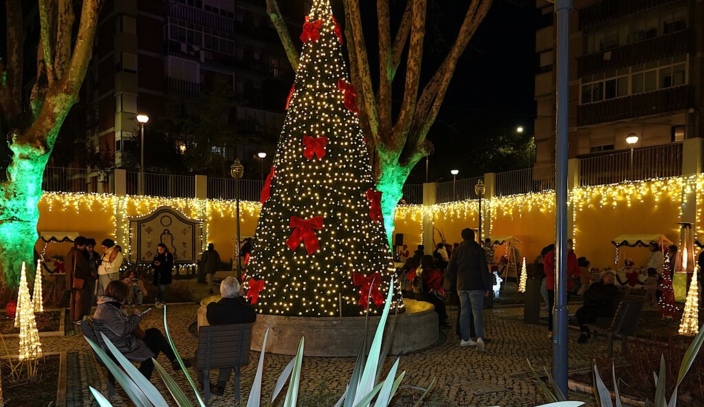 Quinta Mágica de Natal atraiu milhares de visitantes