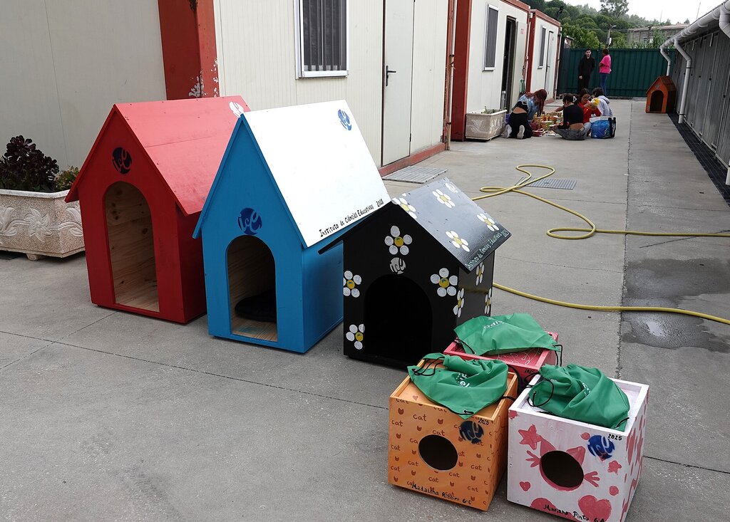 Alunos do ICE construíram casotas para animais do Parque dos Bichos