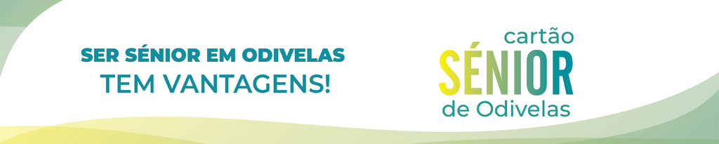 cart&atilde;o s&eacute;nior_2025_site